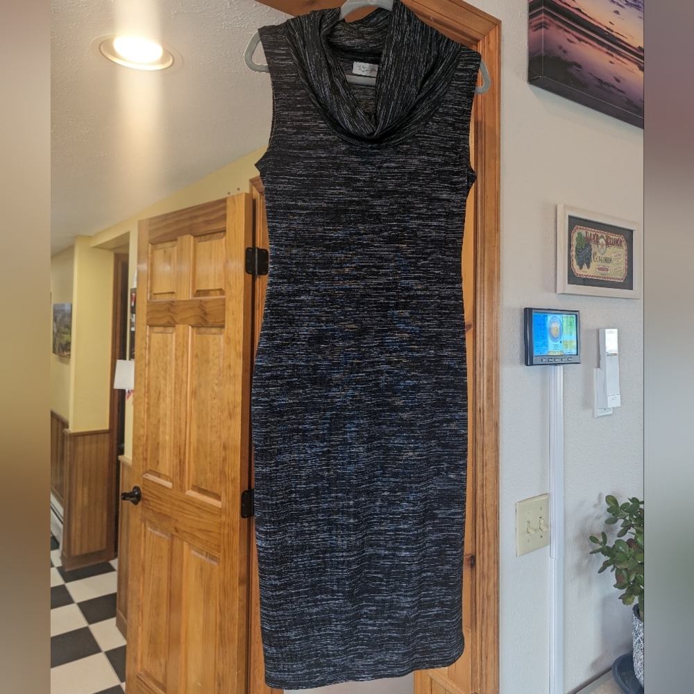 RD Style Cowl Neck Space Dye Sheath Dress
